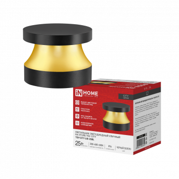 Светильник уличный светодиодный на столб ТБУ-CITY LID-25BL 25Вт 3000/4000/6500К 90x120мм черный IP54 IN HOME, Светильники светодиодные уличные	
